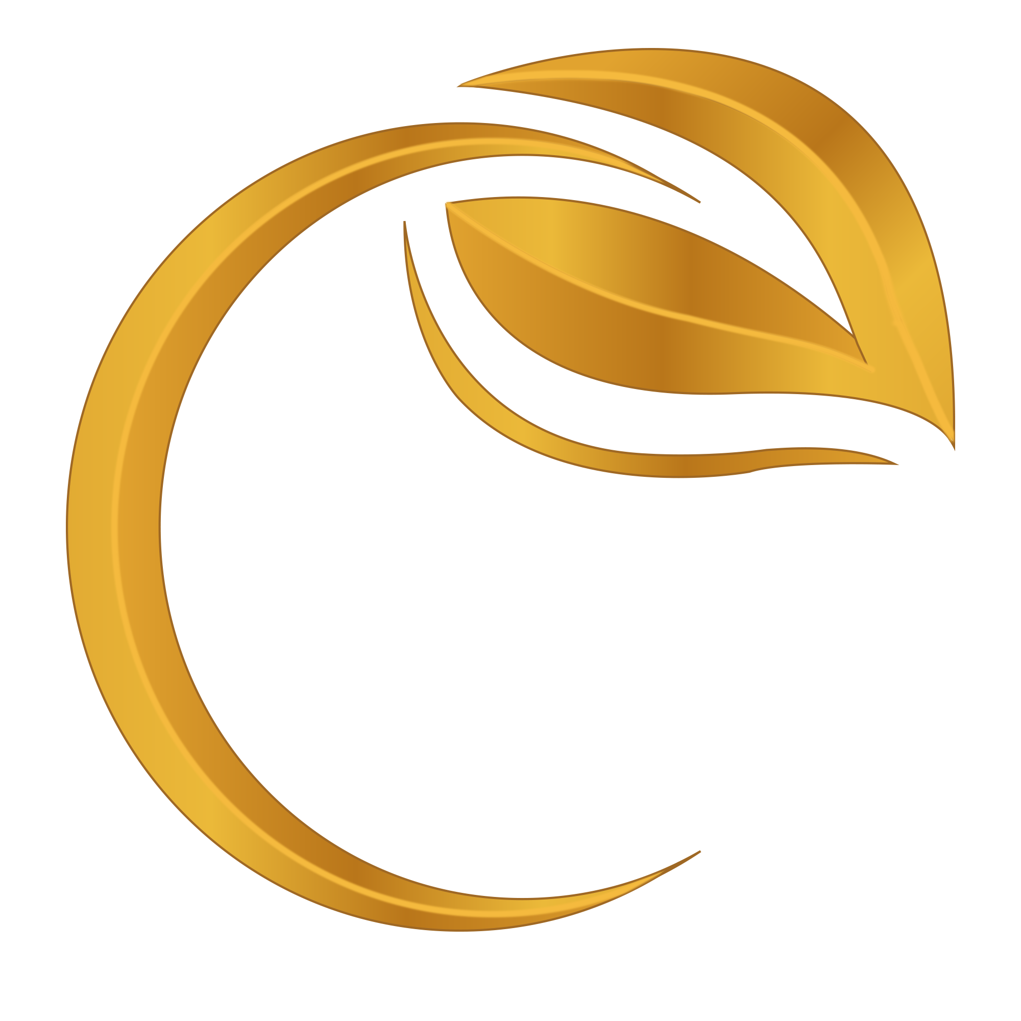 Desi Delight Mix Logo